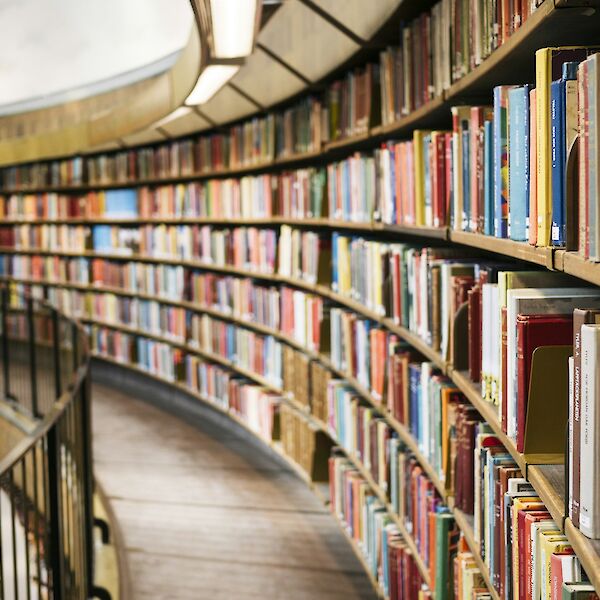 books on brown wooden shelf. Photo by Susan Q Yin, Unsplash.